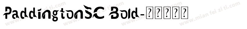 PaddingtonSC Bold字体转换